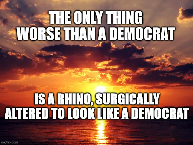 Sunset | THE ONLY THING WORSE THAN A DEMOCRAT; IS A RHINO, SURGICALLY ALTERED TO LOOK LIKE A DEMOCRAT | image tagged in sunset | made w/ Imgflip meme maker