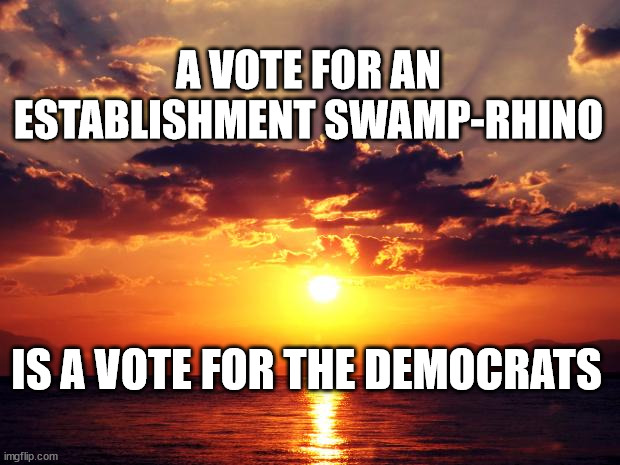 Sunset | A VOTE FOR AN ESTABLISHMENT SWAMP-RHINO; IS A VOTE FOR THE DEMOCRATS | image tagged in sunset | made w/ Imgflip meme maker