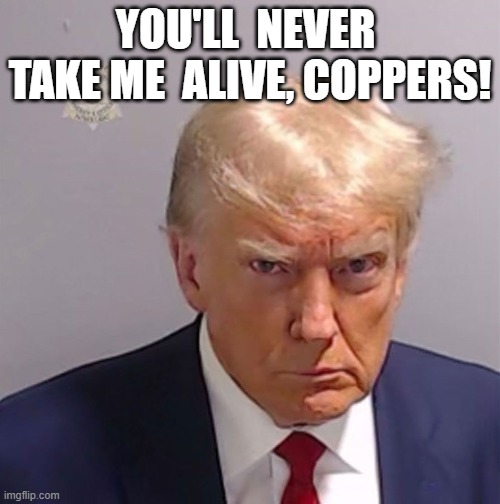 never take me alive | YOU'LL  NEVER  TAKE ME  ALIVE, COPPERS! | image tagged in donald trump | made w/ Imgflip meme maker