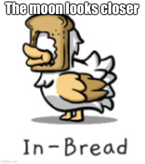 In-bread | The moon looks closer | image tagged in in-bread | made w/ Imgflip meme maker