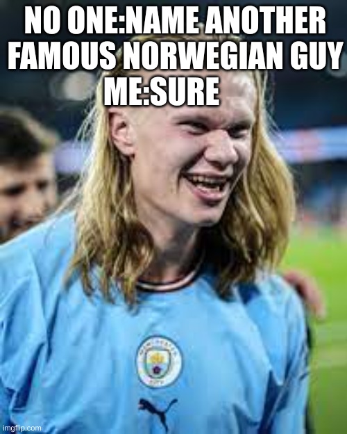 Rather Than Magnus Carlsen | NO ONE:NAME ANOTHER FAMOUS NORWEGIAN GUY; ME:SURE | image tagged in erling haaland | made w/ Imgflip meme maker