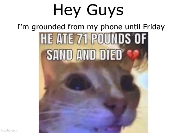 Hey Guys; I’m grounded from my phone until Friday | made w/ Imgflip meme maker