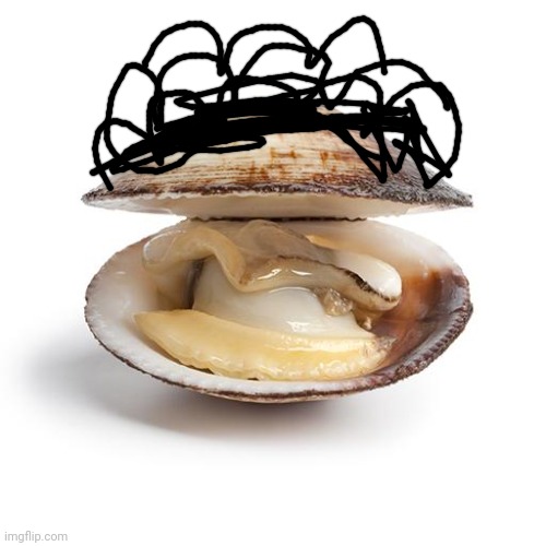 Carlos clam!!1!1!11!!!!1111 | image tagged in clam | made w/ Imgflip meme maker