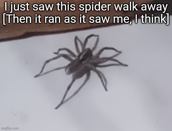 I don't know where it went though | I just saw this spider walk away [Then it ran as it saw me, I think] | image tagged in idk,stuff,s o u p,carck | made w/ Imgflip meme maker