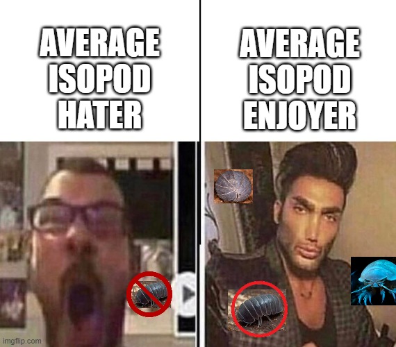 Isopod | AVERAGE ISOPOD HATER; AVERAGE ISOPOD ENJOYER | image tagged in average fan vs average enjoyer | made w/ Imgflip meme maker