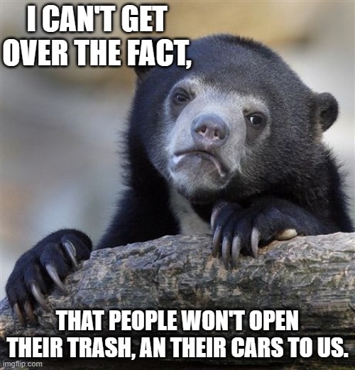 They even hide their honey jars, can you imagine? | I CAN'T GET OVER THE FACT, THAT PEOPLE WON'T OPEN THEIR TRASH, AN THEIR CARS TO US. | image tagged in memes,confession bear,depressed bear,point of view from bear | made w/ Imgflip meme maker