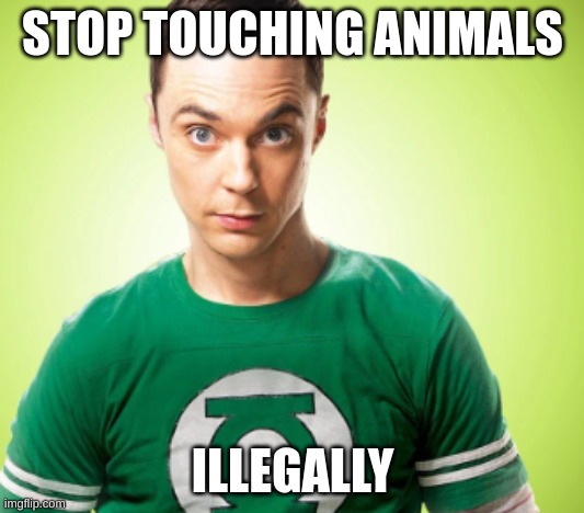 STOP TOUCHING ANIMALS ILLEGALLY | made w/ Imgflip meme maker