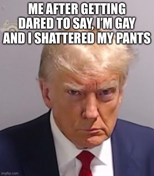 Donald Trump Mugshot | ME AFTER GETTING DARED TO SAY, I’M GAY AND I SHATTERED MY PANTS | image tagged in donald trump mugshot | made w/ Imgflip meme maker