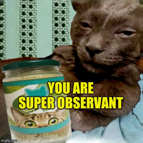 Shit Poster 4 Lyfe | YOU ARE SUPER OBSERVANT | image tagged in ship osta 4 lyfe | made w/ Imgflip meme maker