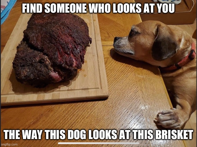 Dog brisket | FIND SOMEONE WHO LOOKS AT YOU; THE WAY THIS DOG LOOKS AT THIS BRISKET | image tagged in dog,brisket | made w/ Imgflip meme maker