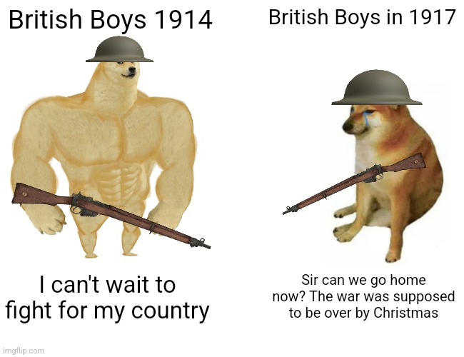 Buff Doge vs. Cheems | British Boys 1914; British Boys in 1917; I can't wait to fight for my country; Sir can we go home now? The war was supposed to be over by Christmas | image tagged in memes,buff doge vs cheems | made w/ Imgflip meme maker