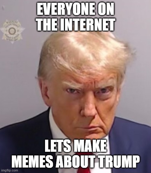 Donald Trump Mugshot | EVERYONE ON THE INTERNET; LETS MAKE MEMES ABOUT TRUMP | image tagged in donald trump mugshot | made w/ Imgflip meme maker