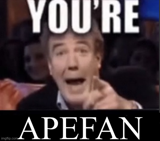 You're X (Blank) | APEFAN | image tagged in you're x blank | made w/ Imgflip meme maker