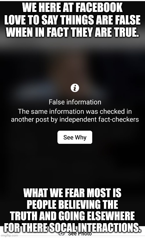 Fake fact check | WE HERE AT FACEBOOK LOVE TO SAY THINGS ARE FALSE WHEN IN FACT THEY ARE TRUE. WHAT WE FEAR MOST IS PEOPLE BELIEVING THE TRUTH AND GOING ELSEWHERE FOR THERE SOCAL INTERACTIONS. | image tagged in fake | made w/ Imgflip meme maker