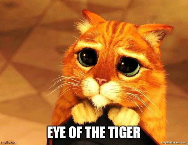 pussinboots | EYE OF THE TIGER | image tagged in pussinboots | made w/ Imgflip meme maker
