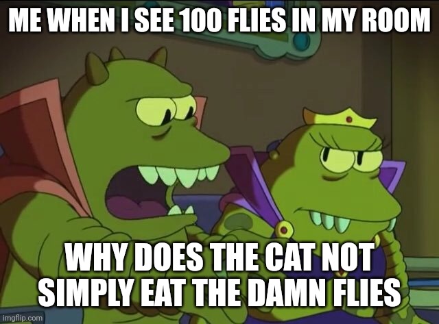 i hate thoose damn fries | ME WHEN I SEE 100 FLIES IN MY ROOM; WHY DOES THE CAT NOT SIMPLY EAT THE DAMN FLIES | image tagged in why does x the largest y not simply eat the others | made w/ Imgflip meme maker