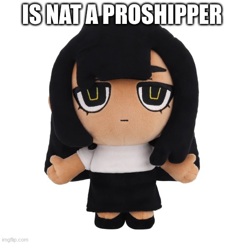 mariyam plush | IS NAT A PROSHIPPER | image tagged in mariyam plush | made w/ Imgflip meme maker