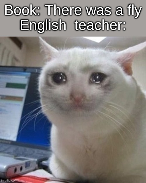 Crying cat | Book: There was a fly
English  teacher: | image tagged in crying cat | made w/ Imgflip meme maker