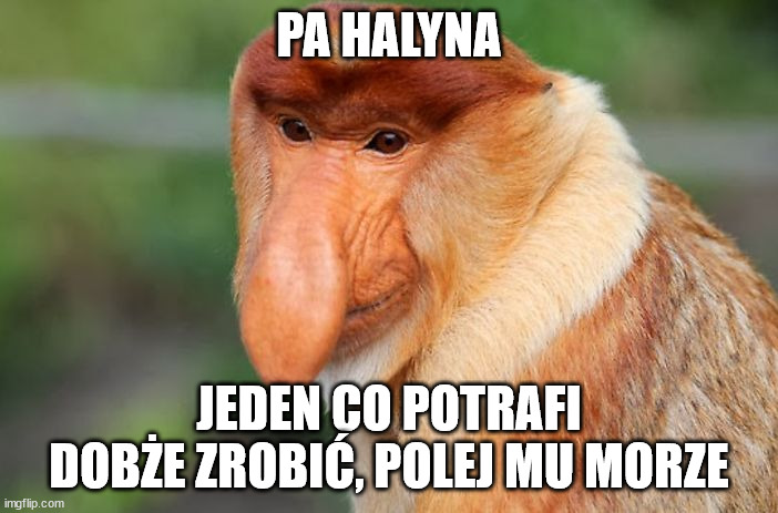 nosacz | PA HALYNA; JEDEN CO POTRAFI DOBŻE ZROBIĆ, POLEJ MU MORZE | image tagged in nosacz | made w/ Imgflip meme maker