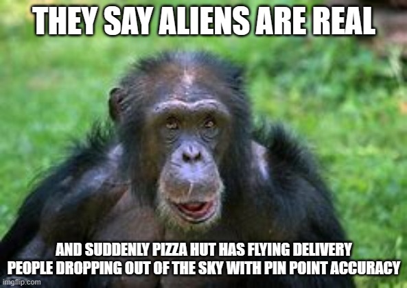 pizza hut | THEY SAY ALIENS ARE REAL; AND SUDDENLY PIZZA HUT HAS FLYING DELIVERY PEOPLE DROPPING OUT OF THE SKY WITH PIN POINT ACCURACY | image tagged in aliens | made w/ Imgflip meme maker