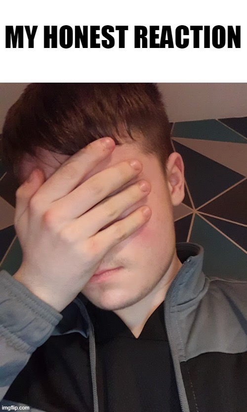 My honest reaction | image tagged in my honest reaction | made w/ Imgflip meme maker