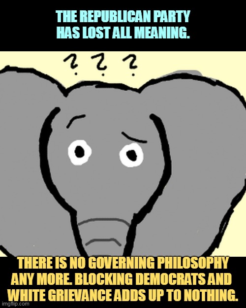 THE REPUBLICAN PARTY HAS LOST ALL MEANING. THERE IS NO GOVERNING PHILOSOPHY ANY MORE. BLOCKING DEMOCRATS AND 
WHITE GRIEVANCE ADDS UP TO NOTHING. | image tagged in republican party,meaning,nothing | made w/ Imgflip meme maker