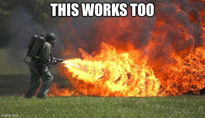 flamethrower | THIS WORKS TOO | image tagged in flamethrower | made w/ Imgflip meme maker