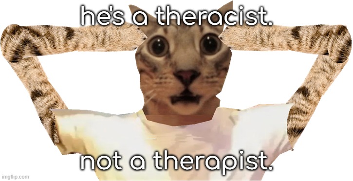 theracist | he's a theracist. not a therapist. | image tagged in cat shocked | made w/ Imgflip meme maker