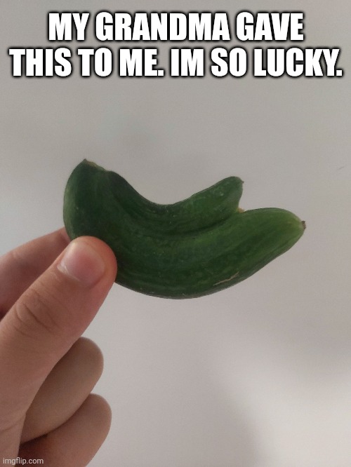 My grandma gave this to me | MY GRANDMA GAVE THIS TO ME. IM SO LUCKY. | image tagged in funny food | made w/ Imgflip meme maker