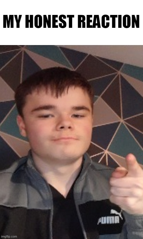 My honest reaction | image tagged in my honest reaction | made w/ Imgflip meme maker