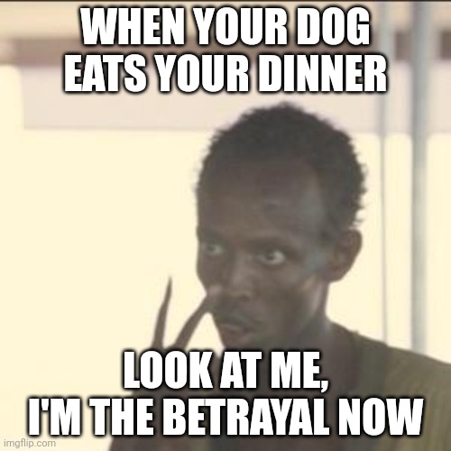 Look At Me | WHEN YOUR DOG EATS YOUR DINNER; LOOK AT ME, I'M THE BETRAYAL NOW | image tagged in memes,look at me | made w/ Imgflip meme maker
