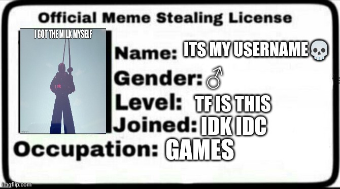 idfk | ITS MY USERNAME💀; ♂️; TF IS THIS; IDK IDC; GAMES | image tagged in meme stealing license,idfk,memes,rel | made w/ Imgflip meme maker