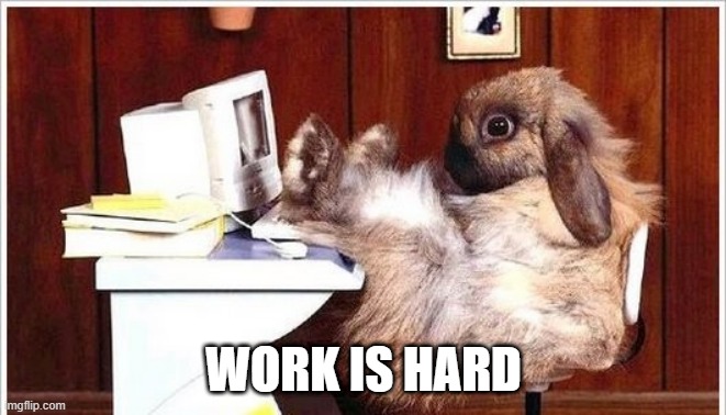 Work | WORK IS HARD | image tagged in bunny | made w/ Imgflip meme maker