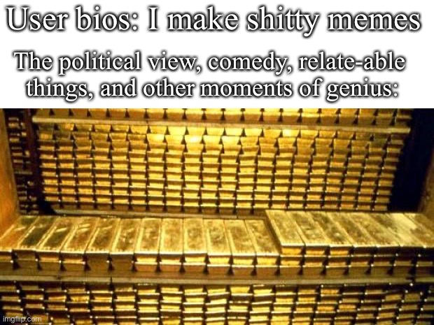 gold bars | User bios: I make shitty memes; The political view, comedy, relate-able  things, and other moments of genius: | image tagged in gold bars | made w/ Imgflip meme maker