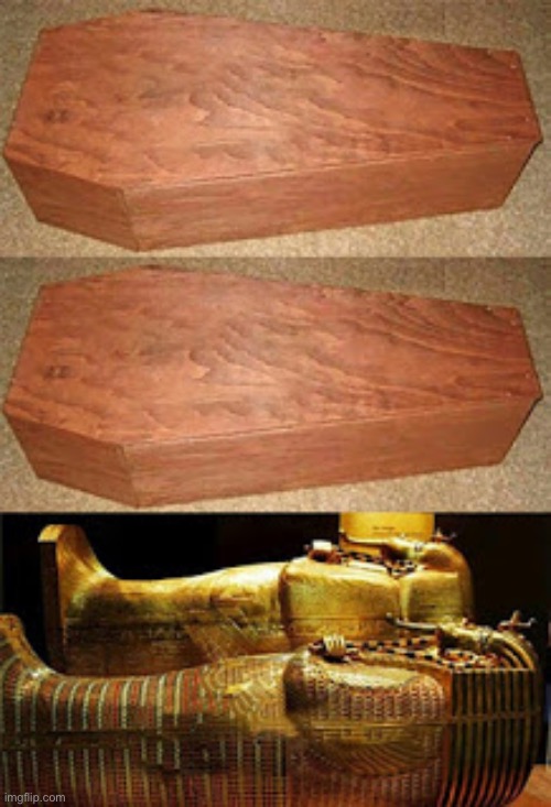Golden coffin meme | image tagged in golden coffin meme | made w/ Imgflip meme maker