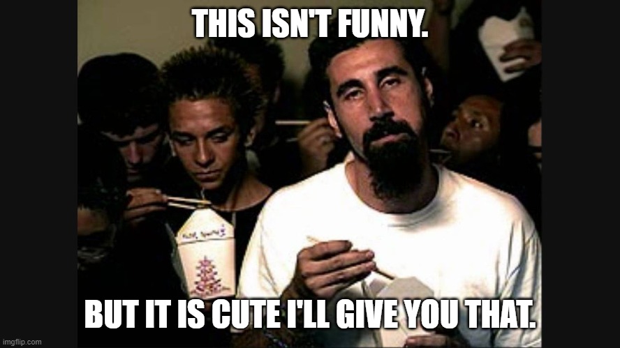 Serj Tankian | THIS ISN'T FUNNY. BUT IT IS CUTE I'LL GIVE YOU THAT. | image tagged in serj tankian | made w/ Imgflip meme maker