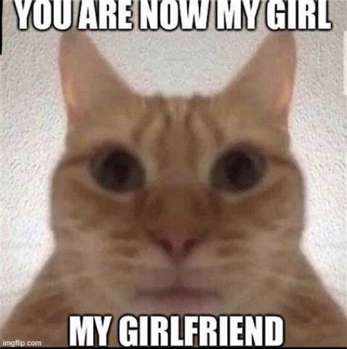 @potat | made w/ Imgflip meme maker