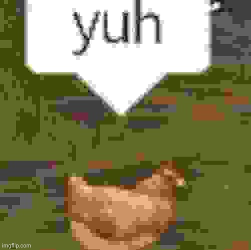yuh | image tagged in yuh | made w/ Imgflip meme maker