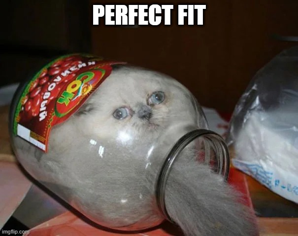 Bottled Up | PERFECT FIT | image tagged in funny cat | made w/ Imgflip meme maker