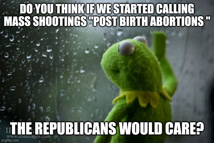 kermit window | DO YOU THINK IF WE STARTED CALLING MASS SHOOTINGS "POST BIRTH ABORTIONS "; THE REPUBLICANS WOULD CARE? | image tagged in kermit window | made w/ Imgflip meme maker