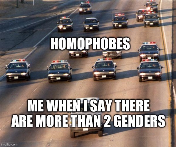 Yes. | HOMOPHOBES; ME WHEN I SAY THERE ARE MORE THAN 2 GENDERS | image tagged in oj simpson police chase,relatable,homophobes,no homophobes allowed,more than 2 genders,only 2 sexes | made w/ Imgflip meme maker
