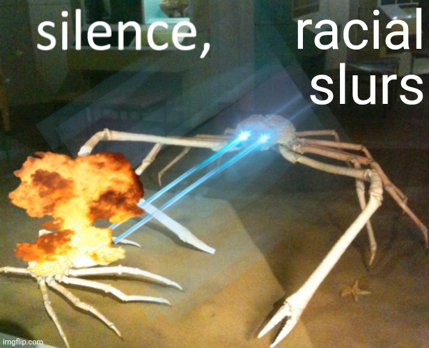 If I can read a racial slur in a comment or image, tags, title, user profile, tagline, etc. it's against the Terms of Use. | racial slurs | image tagged in silence crab,racist slurs | made w/ Imgflip meme maker