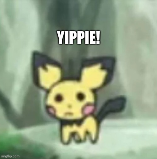 Yippie! | YIPPIE! | image tagged in funny,memes,pokemon,yipee | made w/ Imgflip meme maker
