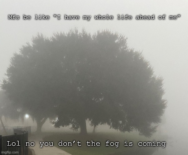 The fog is coming | Mfs be like “I have my whole life ahead of me”; Lol no you don’t the fog is coming | image tagged in come out of the fog 2022,fog | made w/ Imgflip meme maker