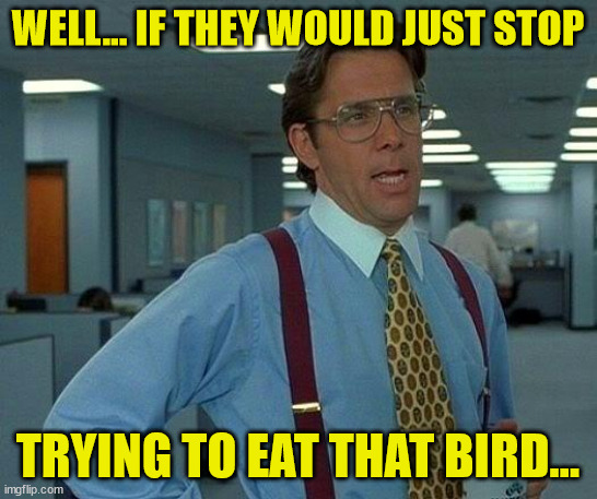 That Would Be Great Meme | WELL... IF THEY WOULD JUST STOP TRYING TO EAT THAT BIRD... | image tagged in memes,that would be great | made w/ Imgflip meme maker