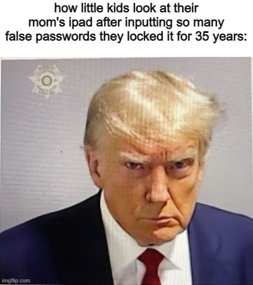 i know a little cousin who ruined my aunt's phone like this | how little kids look at their mom's ipad after inputting so many false passwords they locked it for 35 years: | image tagged in trump mugshot | made w/ Imgflip meme maker