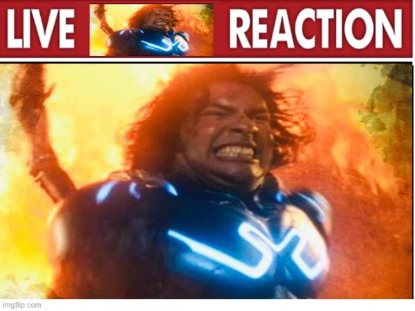 live beetle reaction | image tagged in live x reaction | made w/ Imgflip meme maker
