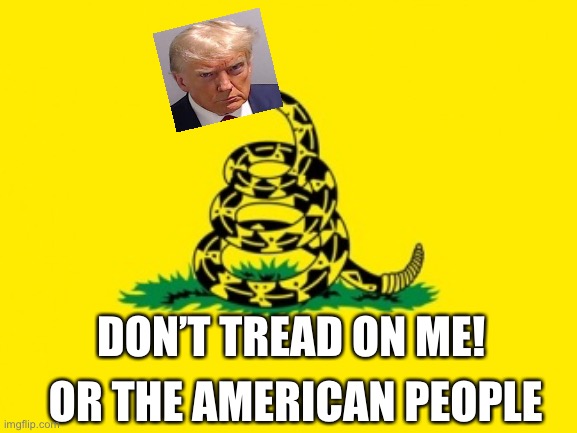 Defend Democracy not this Administrative State. | DON’T TREAD ON ME! OR THE AMERICAN PEOPLE | image tagged in gadsden flag,trump,sad joe biden,corruption,democrat,incompetence | made w/ Imgflip meme maker