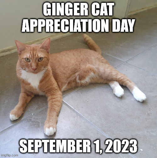 Ginger Cat Appreciation Day | GINGER CAT APPRECIATION DAY; SEPTEMBER 1, 2023 | image tagged in ginger,orange,red,tabby,cat,appreciation | made w/ Imgflip meme maker