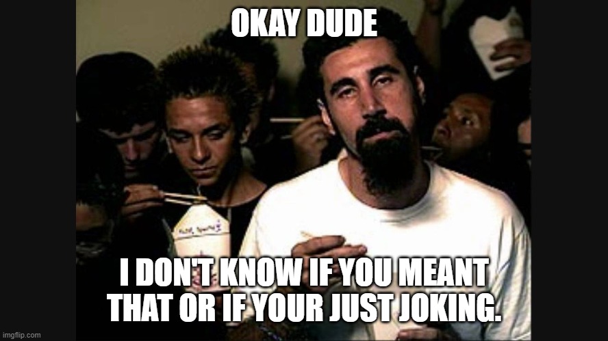 Serj Tankian | OKAY DUDE I DON'T KNOW IF YOU MEANT THAT OR IF YOUR JUST JOKING. | image tagged in serj tankian | made w/ Imgflip meme maker